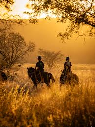 South Africa Safari & City Adventure